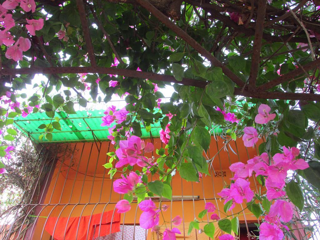 Pubali Homestay Bolpur Εξωτερικό φωτογραφία