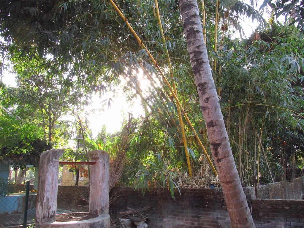 Pubali Homestay Bolpur Εξωτερικό φωτογραφία